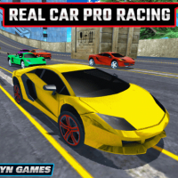 Real Car Pro Racing